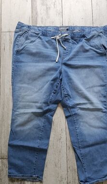 Torrid Weekender Light Blue Drawstring Jeans 4X